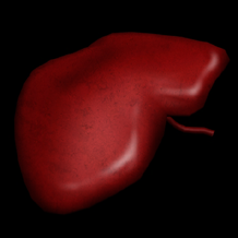 Liver2005.png