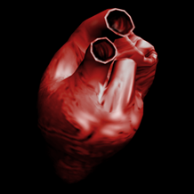 Heart2005.png