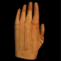 Protective Gloves in Pathologic 2004 Alpha