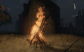 Bonefire outside of an infected district