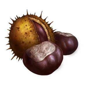 Chestnuts.png