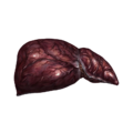 Infected Liver