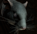 Rat Prophet in dialogue