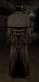 Peter's back in the Pathologic 2004 alpha
